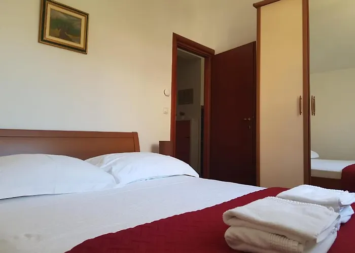 Rupe 프리모스턴