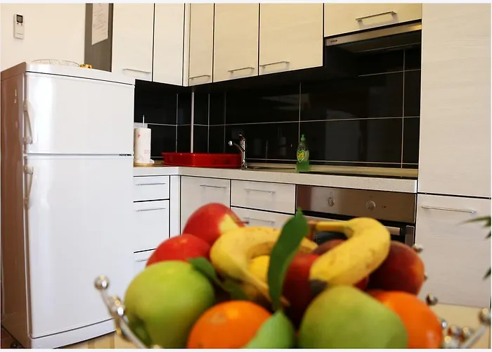 Rupe 프리모스턴