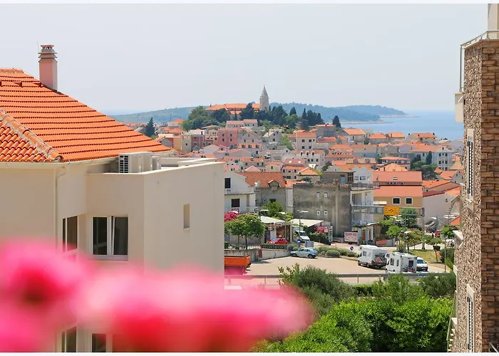 Rupe 프리모스턴